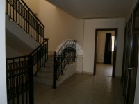 ST MARKS-Estate Agents