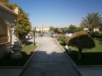 ST MARKS-Estate Agents