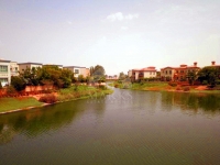 ST MARKS-Estate Agents