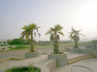 ST MARKS-Estate Agents