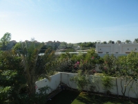 ST MARKS-Estate Agents